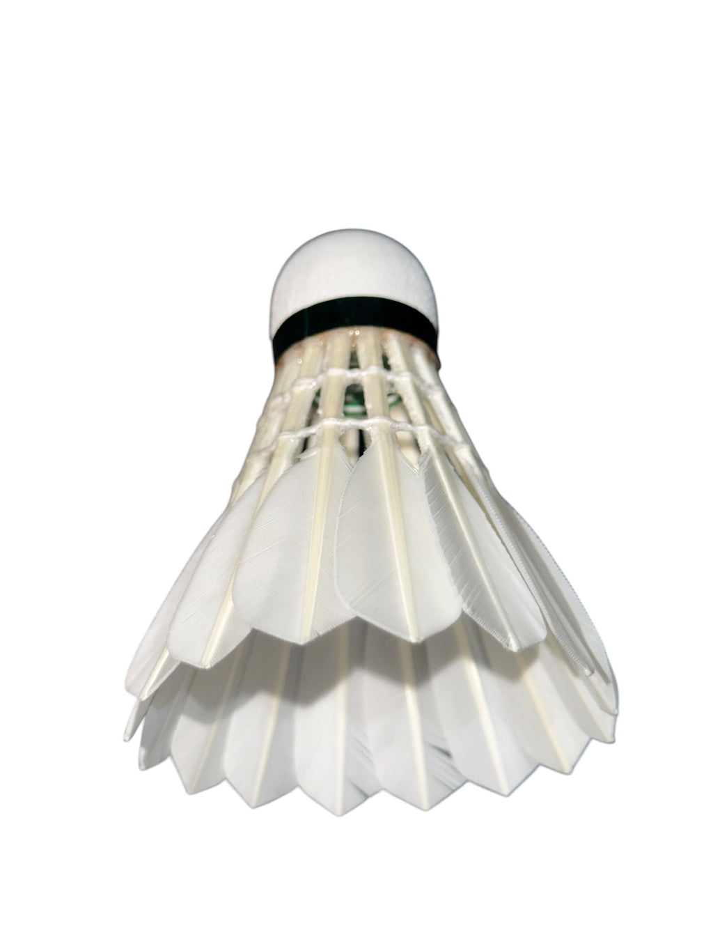 Falcon SB Feather Shuttlecocks - Pack of 12