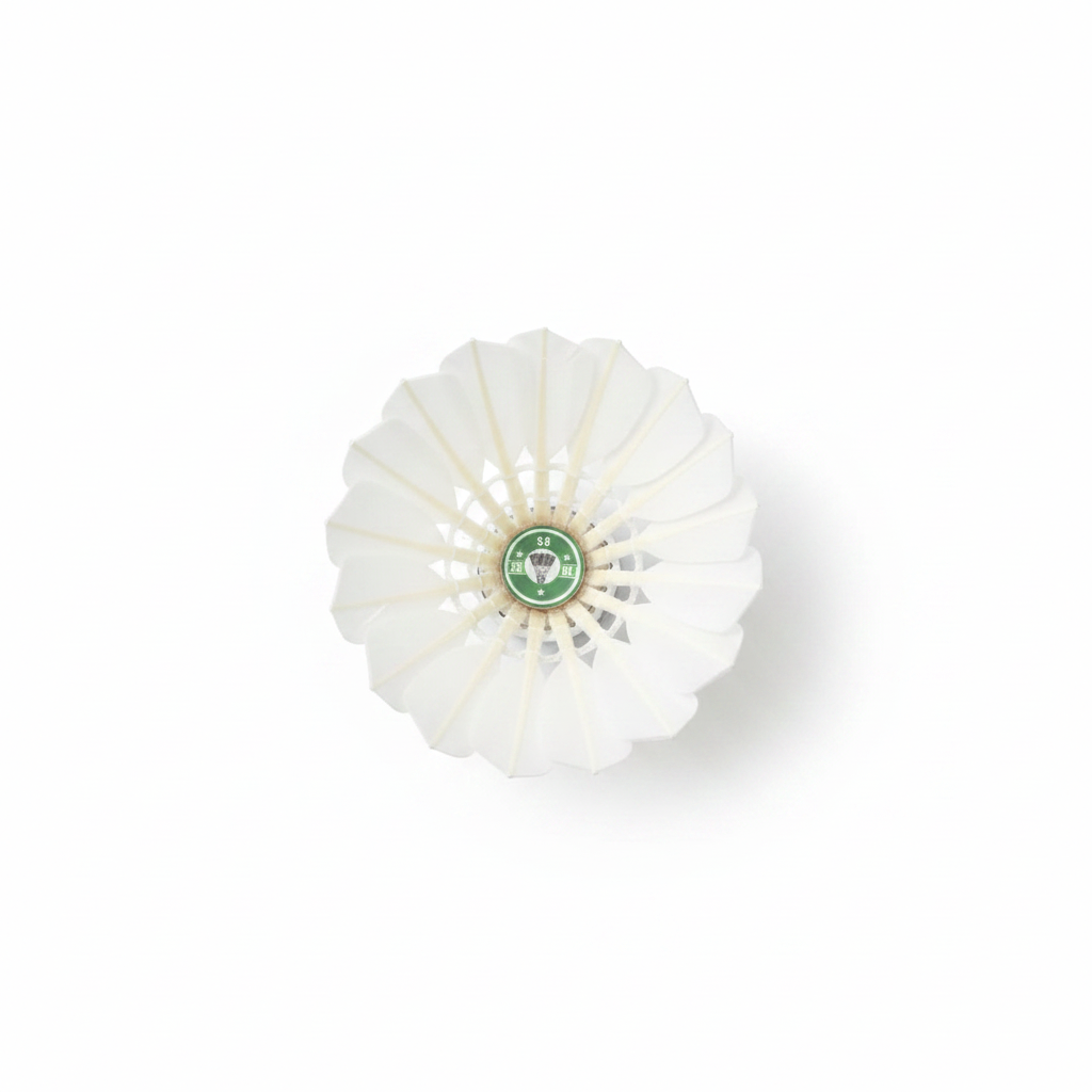 Shuttlecock top view